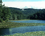 Cone House from Bass Lake-Blowing Rock-180mm Heliar copy.jpg