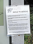 Goat warning.jpg