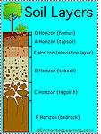 Soil layers.jpg