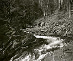 Mountain Stream-web.jpg