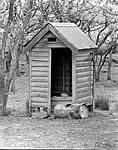 Outhouse -2019-04-25-0001 black level cropped curves 10 percent.jpg