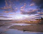 evening light at norris geyser basin.jpg