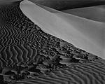 pismo_dunes--3-2.jpg