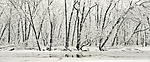 Snow_Creek7x17_pyro_Xsharp.jpg