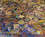 reeds, leaves, and reflection.jpg