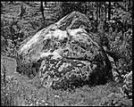 Roadside Rock310 copy LFPF.jpg