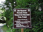 Forest sign.jpg