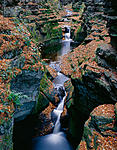 534-101 skillet creek fall working copy.jpg