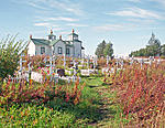 Churchyard in weeds.jpg