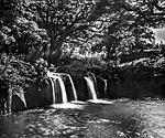 waterfall_1-20x24-web2.jpg