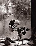 61191361.josef_sudek_04.jpg