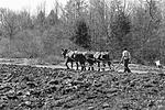 Menn plowing 78.jpg