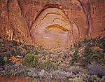 long canyon alcove .jpg