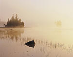 birch lake sunrise #2 .jpg