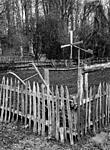 fence and windmill.jpg