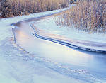 icy fremont river and reeds copy.jpg