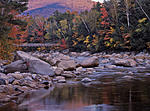 Walking Bridge_small.jpg