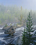 rock in gibbon river (vert) 3-2013.jpg