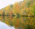 Click image for larger version. 

Name:	278948-003 Fall Reflections Black River NJ.jpg 
Views:	96 
Size:	136.8 KB 
ID:	100808