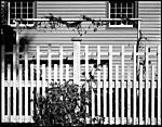 Click image for larger version. 

Name:	Morning Light-the fence.jpg 
Views:	219 
Size:	94.9 KB 
ID:	104132