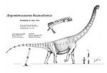 Click image for larger version. 

Name:	Argentinosaurus 1.jpg 
Views:	36 
Size:	40.5 KB 
ID:	109987