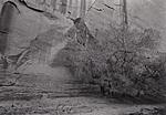 Click image for larger version. 

Name:	platinum prints_0004.jpg 
Views:	152 
Size:	57.0 KB 
ID:	115651