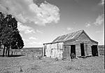 20150308_Shed_in_Cranley_TIFF_1_small.jpg