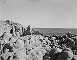 Click image for larger version. 

Name:	Shore Rocks 2 (Small).jpg 
Views:	114 
Size:	120.0 KB 
ID:	144412