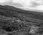 Click image for larger version. 

Name:	From a pile of Stones_.jpg 
Views:	113 
Size:	87.0 KB 
ID:	175373
