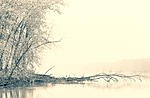 Click image for larger version. 

Name:	River snow:fog 59.jpg 
Views:	37 
Size:	71.0 KB 
ID:	218548