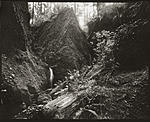Three Boys, Gold Bluffs, Prairie Creek RedwoodsS_8x10P.jpg