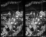 Click image for larger version. 

Name:	xmas_tree_4x5stereo_f22_1h5_ilfvc_y_3a.jpg 
Views:	164 
Size:	81.7 KB 
ID:	223667