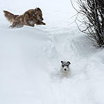 Click image for larger version. 

Name:	_DSN4242.jpg 
Views:	59 
Size:	54.8 KB 
ID:	230091
