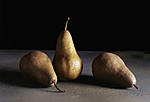 Click image for larger version. 

Name:	pears-1.jpg 
Views:	57 
Size:	33.0 KB 
ID:	231943