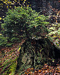 Click image for larger version. 

Name:	EFT-1090792.jpg 
Views:	75 
Size:	188.7 KB 
ID:	237351