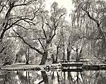 Click image for larger version. 

Name:	Arboretum Pond 2-Edit.jpg 
Views:	150 
Size:	140.7 KB 
ID:	242838