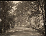 Click image for larger version. 

Name:	PandS Visual Quality IV f63 Tuggles Rd MR.jpg 
Views:	138 
Size:	72.9 KB 
ID:	247221