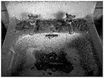 Click image for larger version. 

Name:	HP5+M65101-Edit.jpg 
Views:	46 
Size:	62.0 KB 
ID:	258822