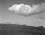 Montana fence & cloud.jpg