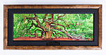 Click image for larger version. 

Name:	Peter-Lik-The-Tree-of-Hope.jpg 
Views:	41 
Size:	88.8 KB 
ID:	89365