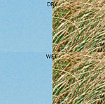 Click image for larger version. 

Name:	grass and sky wet and dry.jpg 
Views:	126 
Size:	104.5 KB 
ID:	99563