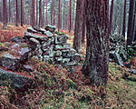 Click image for larger version. 

Name:	Wall Woods Ladybower.jpg 
Views:	137 
Size:	179.1 KB 
ID:	177062