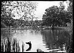 Click image for larger version. 

Name:	Hollow pond.jpg 
Views:	12 
Size:	103.6 KB 
ID:	218573