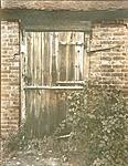 Click image for larger version. 

Name:	gum bichromate stable door.jpg 
Views:	41 
Size:	139.0 KB 
ID:	242318