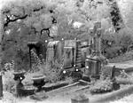 Click image for larger version. 

Name:	Hollywood Cemetery 1.jpg 
Views:	50 
Size:	145.7 KB 
ID:	197961