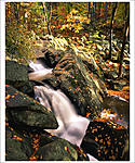 Click image for larger version. 

Name:	Black River Fall HackelBarney DS.jpg 
Views:	250 
Size:	149.6 KB 
ID:	87634