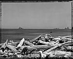 Click image for larger version. 

Name:	Rialto Beach Logs LF forum.jpg 
Views:	29 
Size:	145.8 KB 
ID:	216140