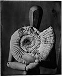 Click image for larger version. 

Name:	matchstick man with ammonite .jpg 
Views:	25 
Size:	58.0 KB 
ID:	86872