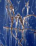 waste panel abstract 1-14.jpg