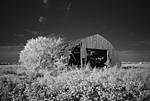 Click image for larger version. 

Name:	Old barn in soy field.jpg 
Views:	33 
Size:	54.6 KB 
ID:	216460